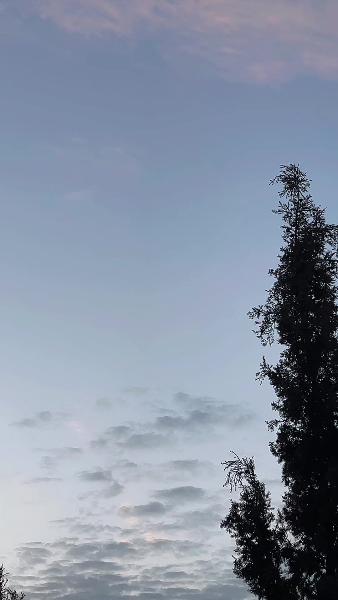 @ميمي