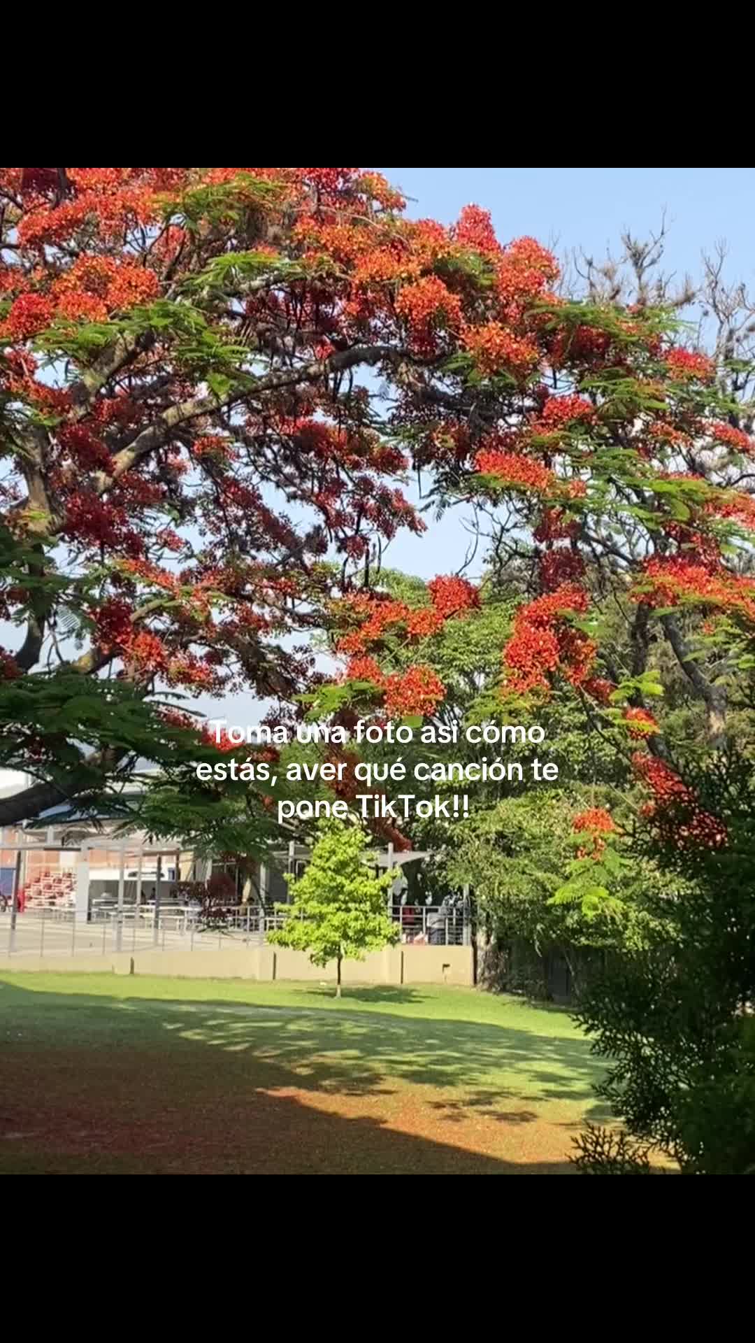 @☘️11:11🍁♡🌼•°𝐅𝒂𝒃ἶ°•🌼♡🐣