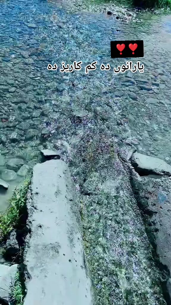 @Shahid khkar❤️🌹❤️🌹