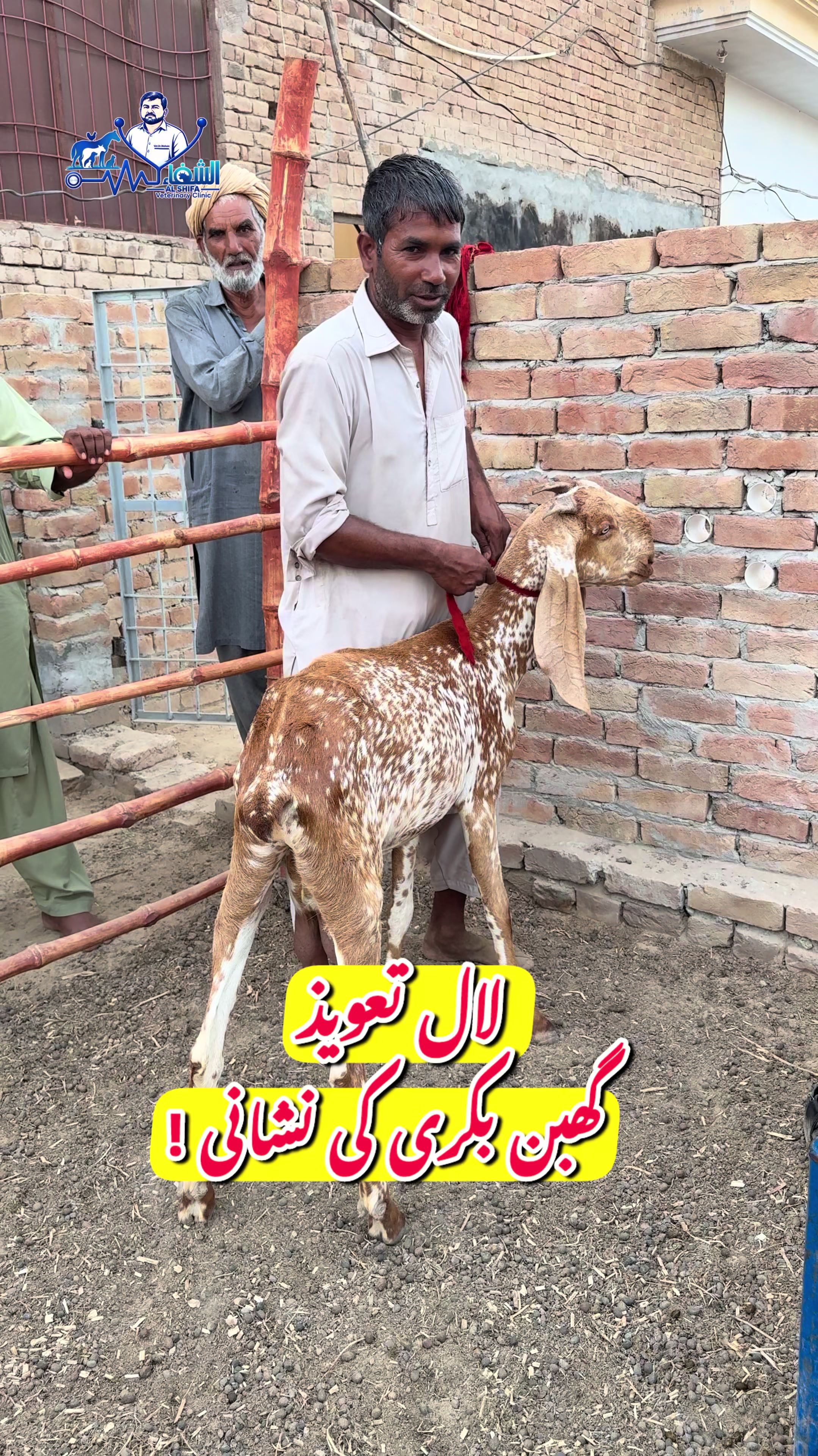 @Dr.Mohsin