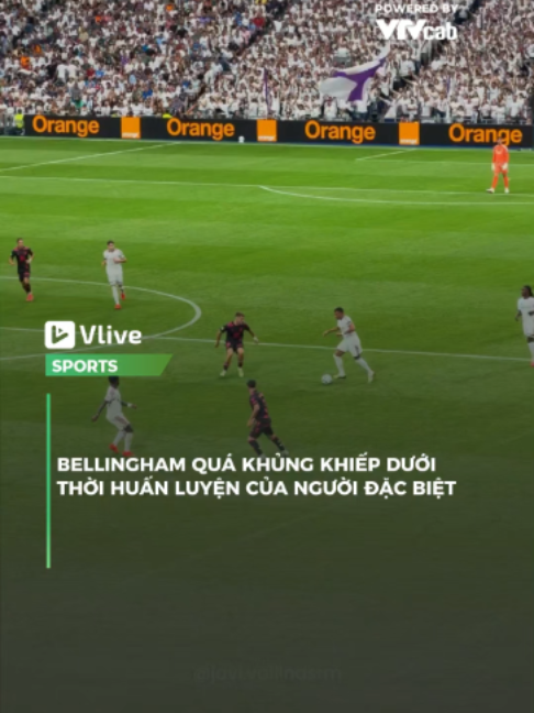 @Vlive Sports
