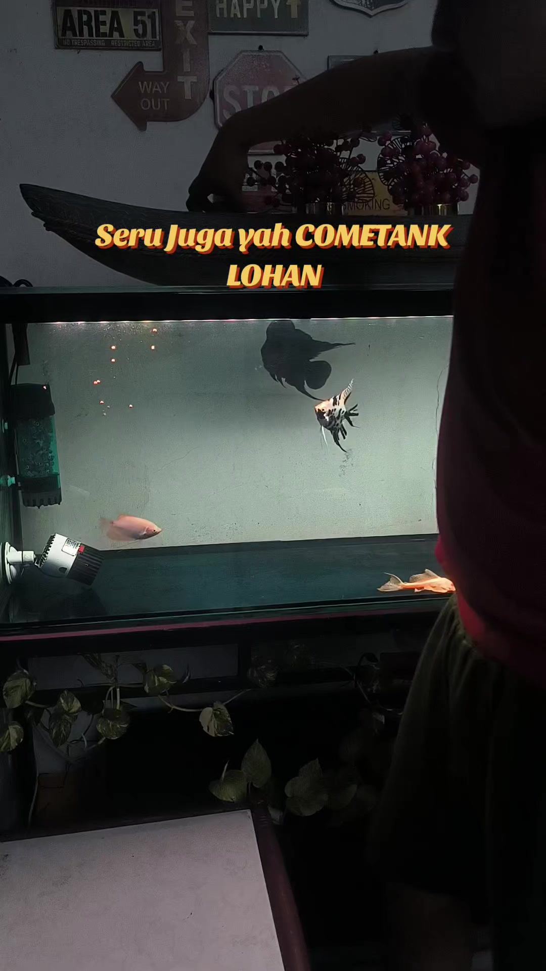 @Punya Namita