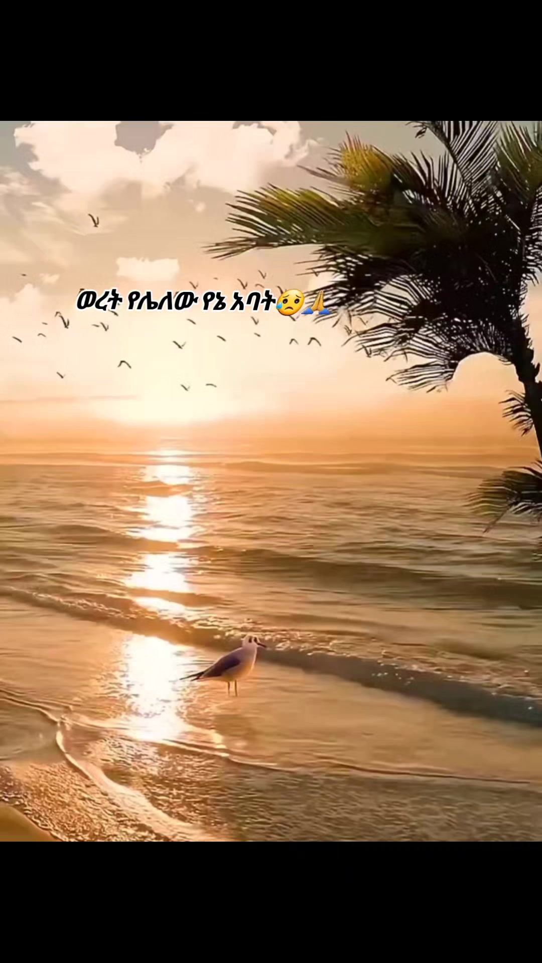 @እጅግ