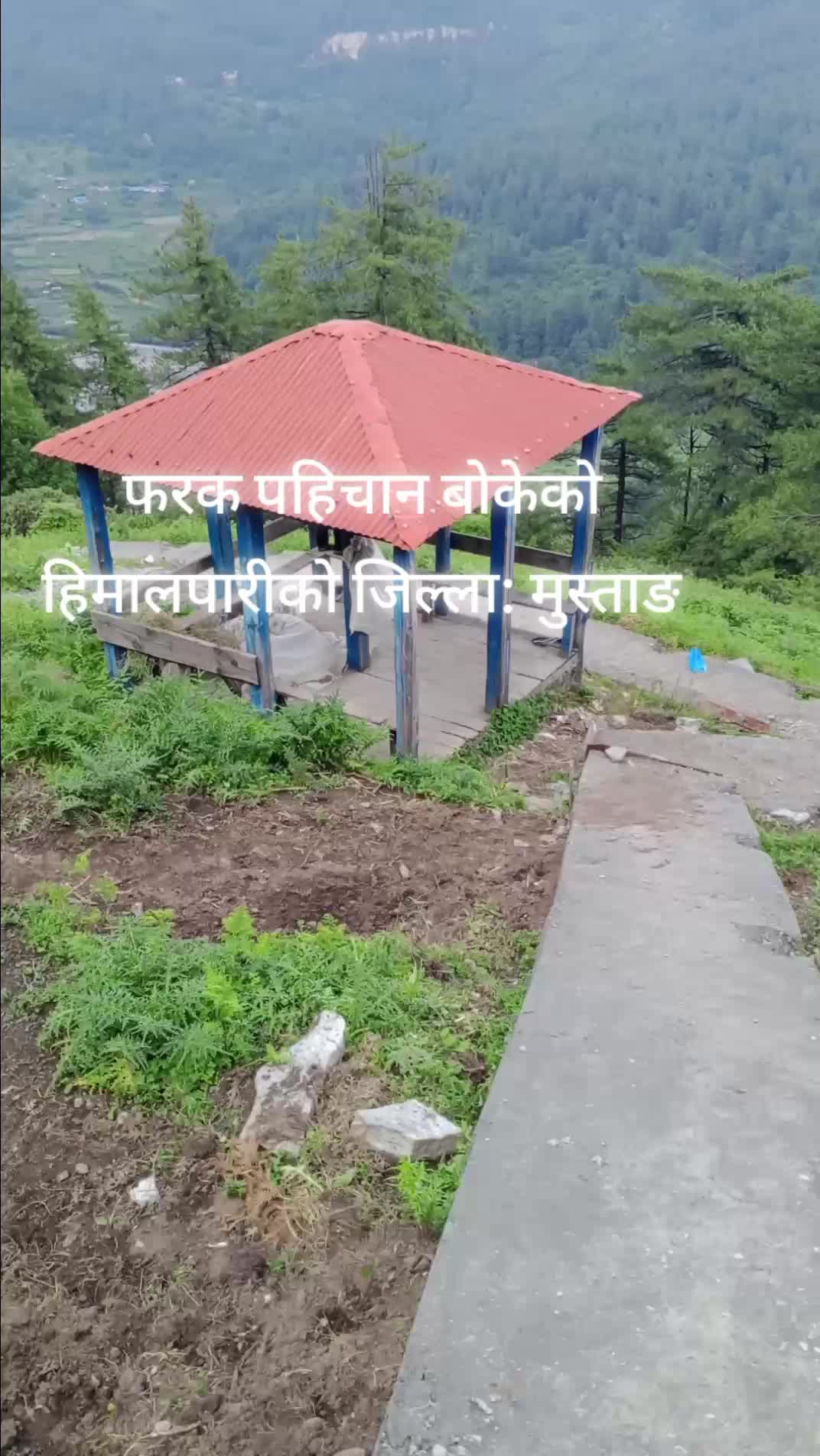 @Mahendra Shahi