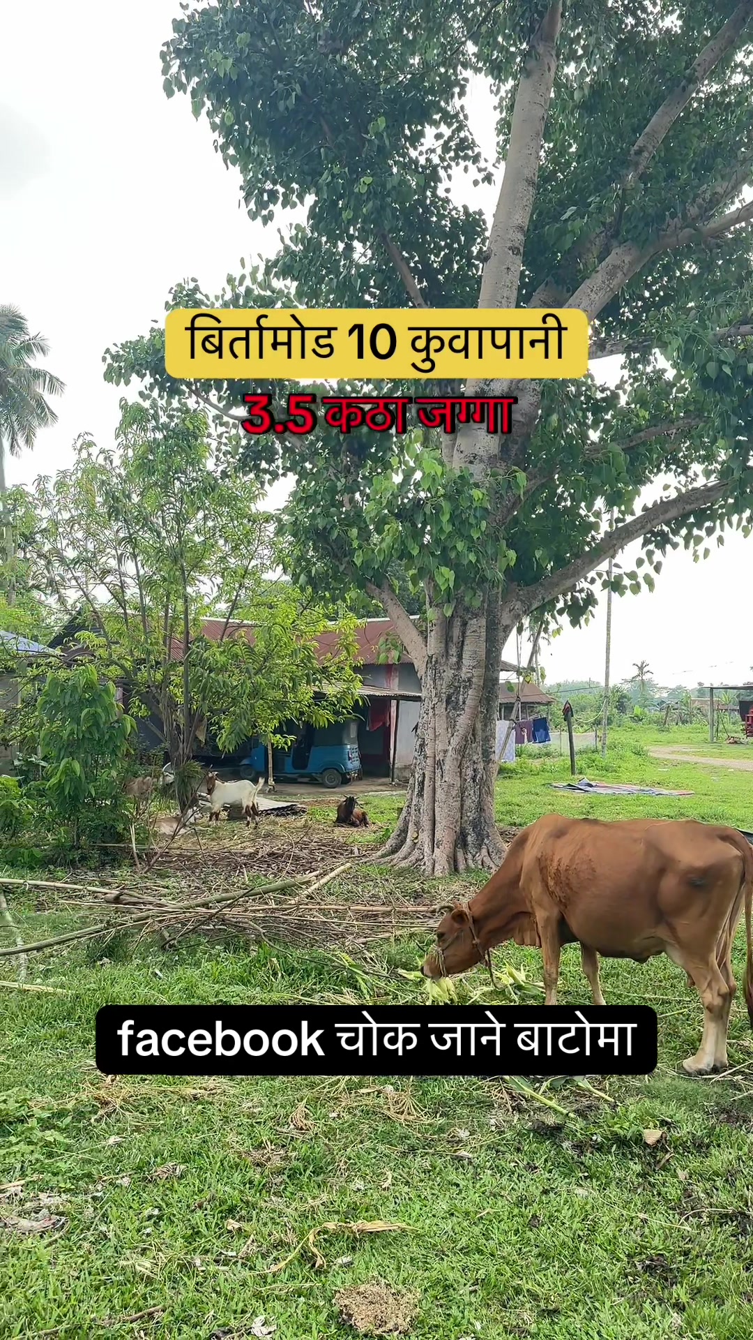@Maikal ghar jagga