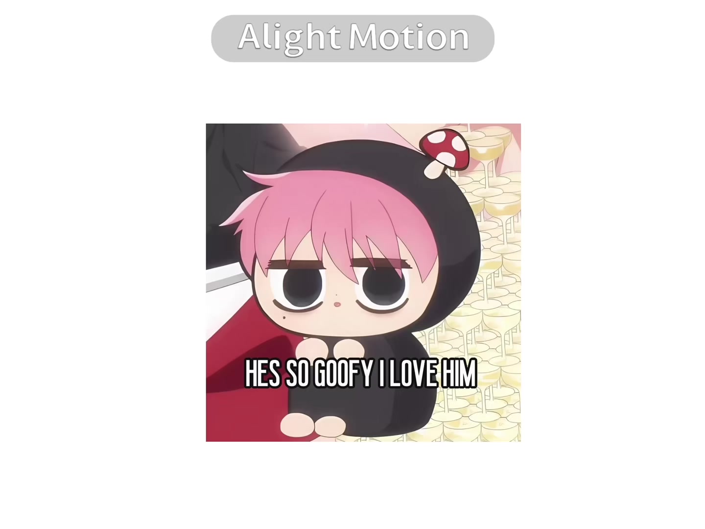 @zesXP