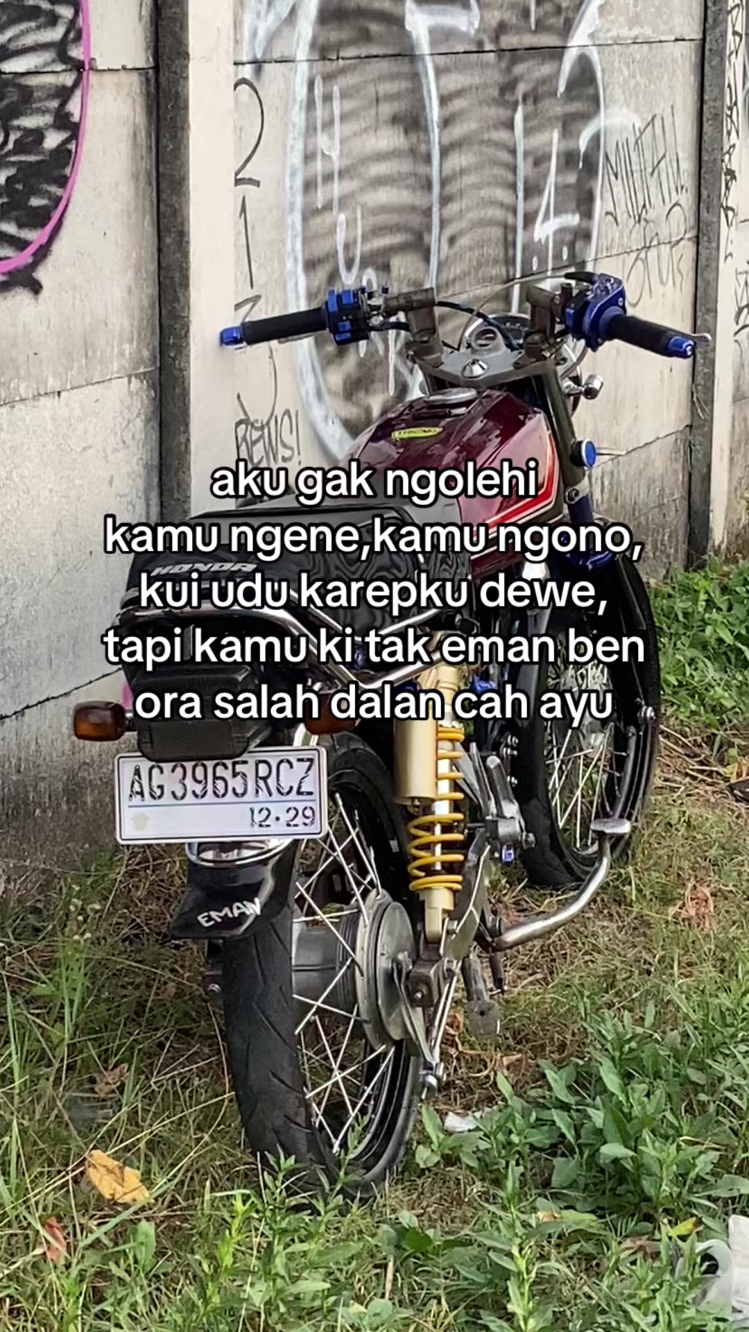 @๐ฟ๐๐ฃ๐ ๐๐ฏ๐๐๐๐ปโ๏ธ