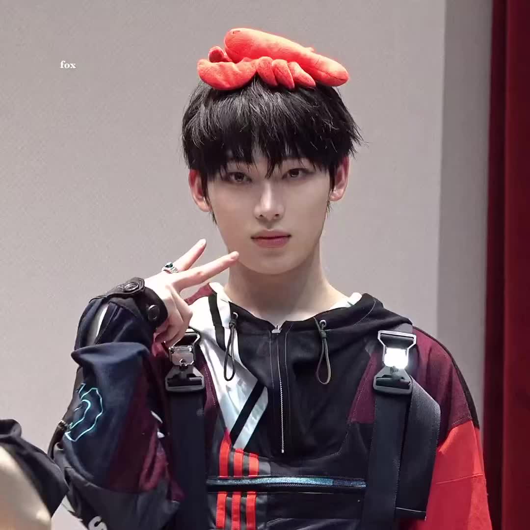 @VSNHEE 🐻🦊THEA🦊