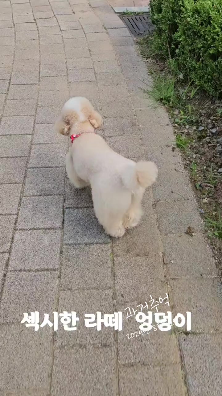 @예쁜라떼