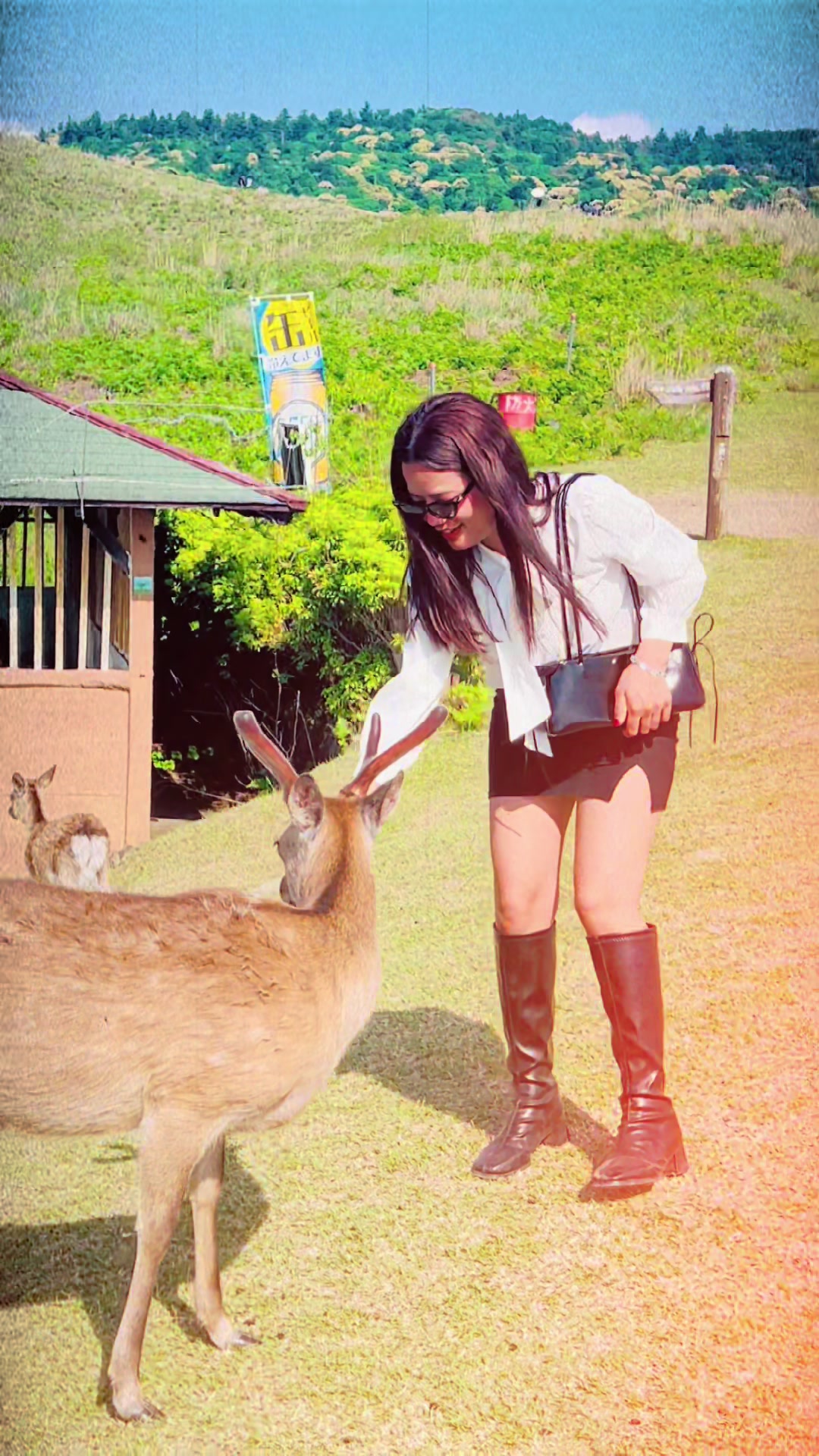 @🦋ŝĥîrĵañá🇳🇵🫶🇯🇵