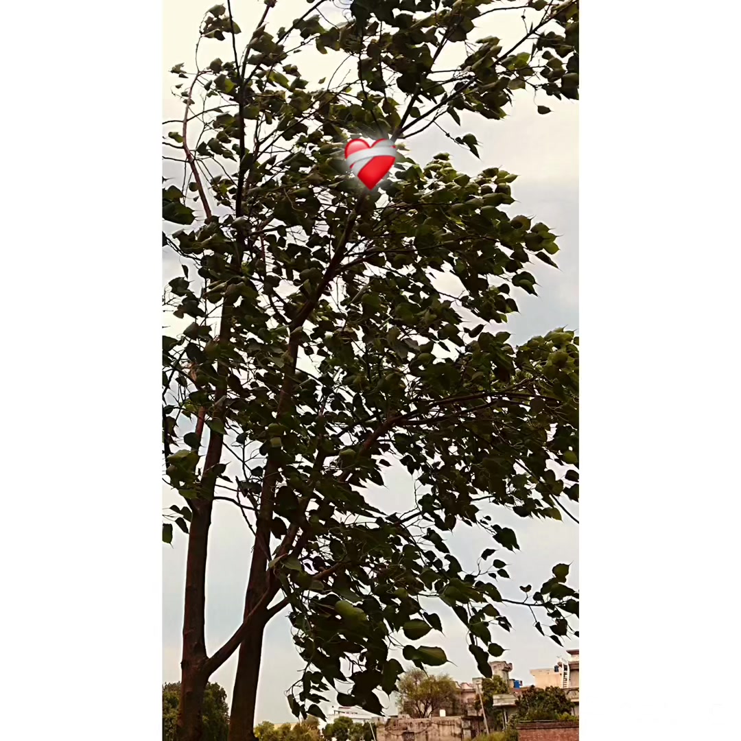 @𝐏𝐔𝐍𝕵𝐀𝐁👳🏻♂️🌾
