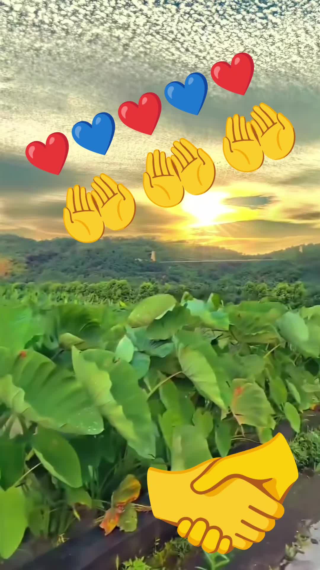 @fousseni