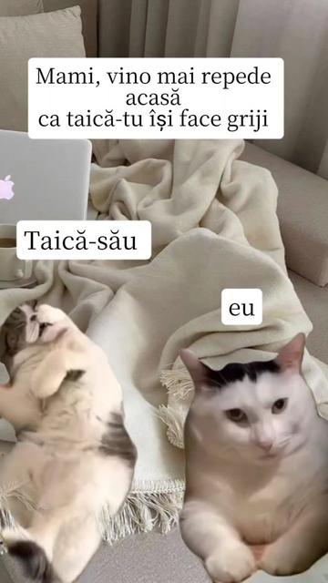 @Tasya