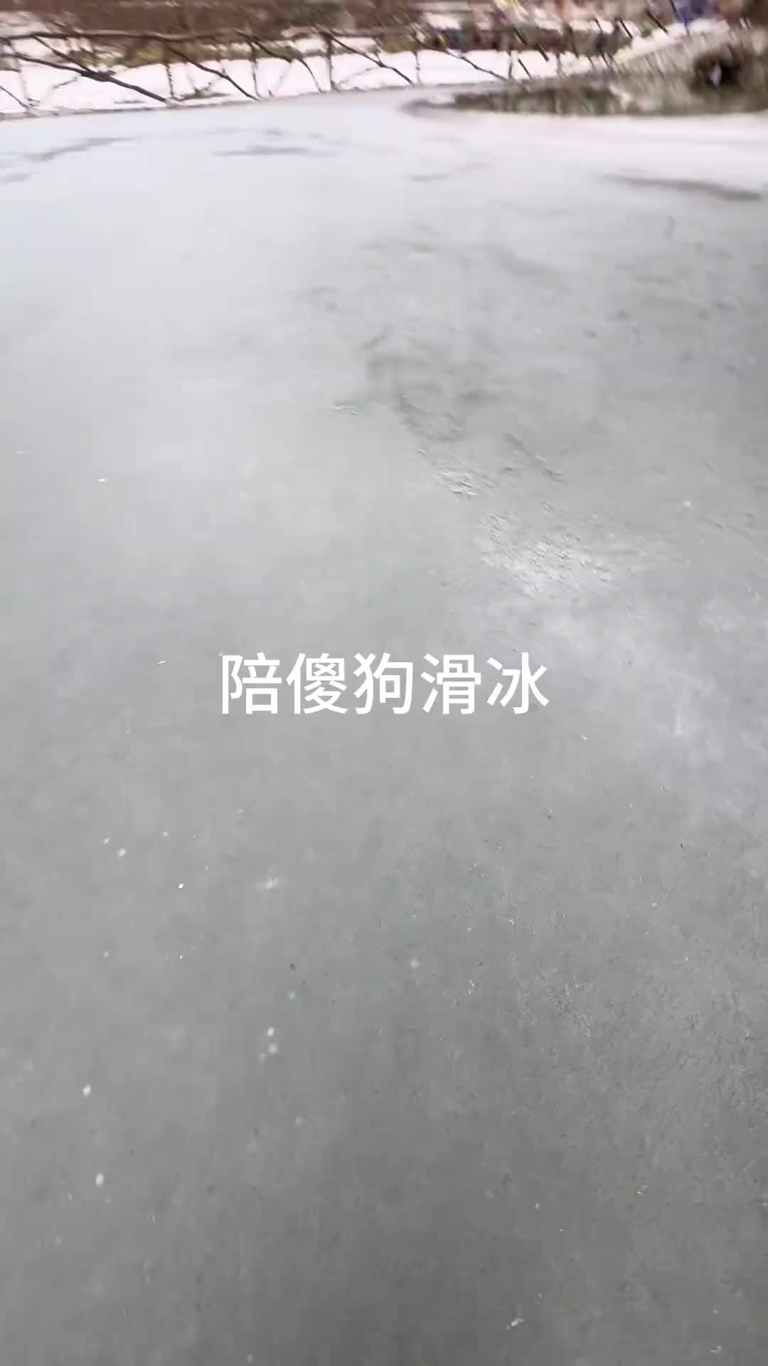 @终南山喵