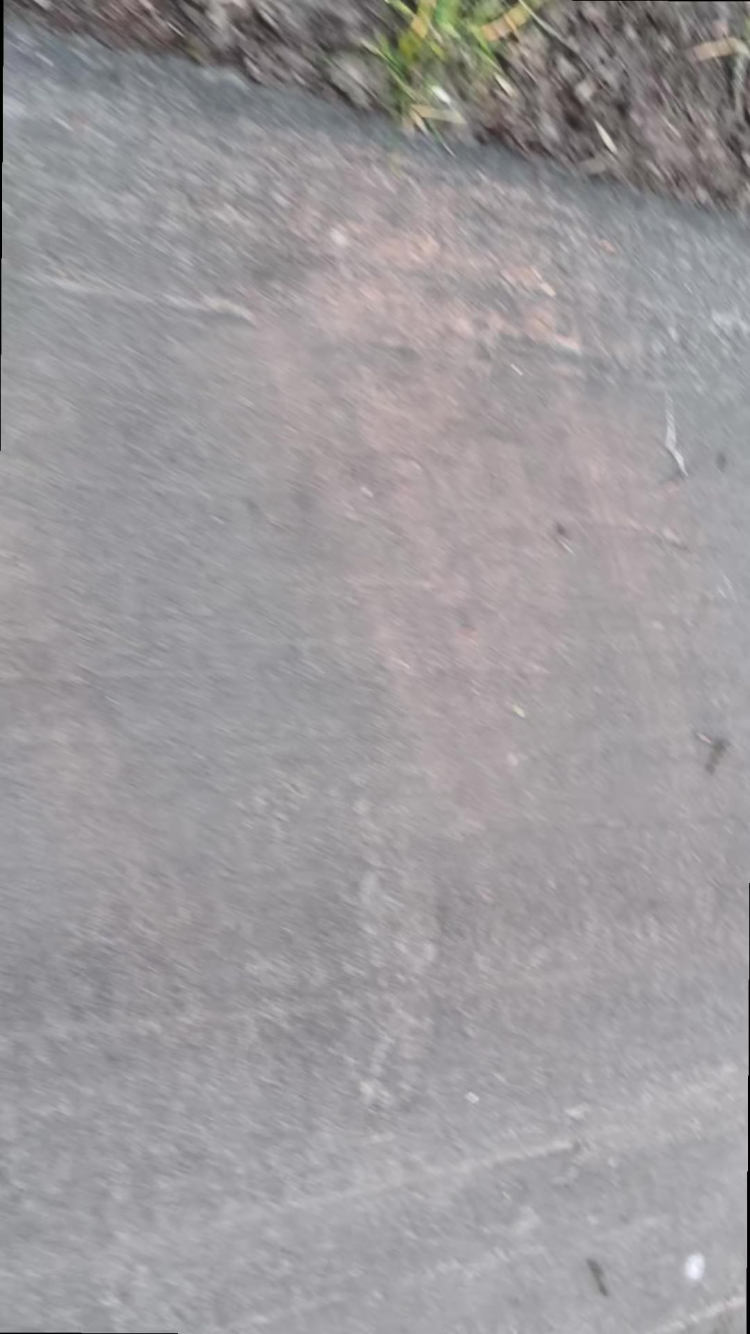@сквизи