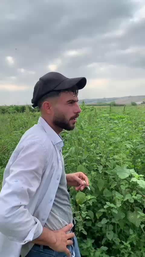 @Gökan Süslü