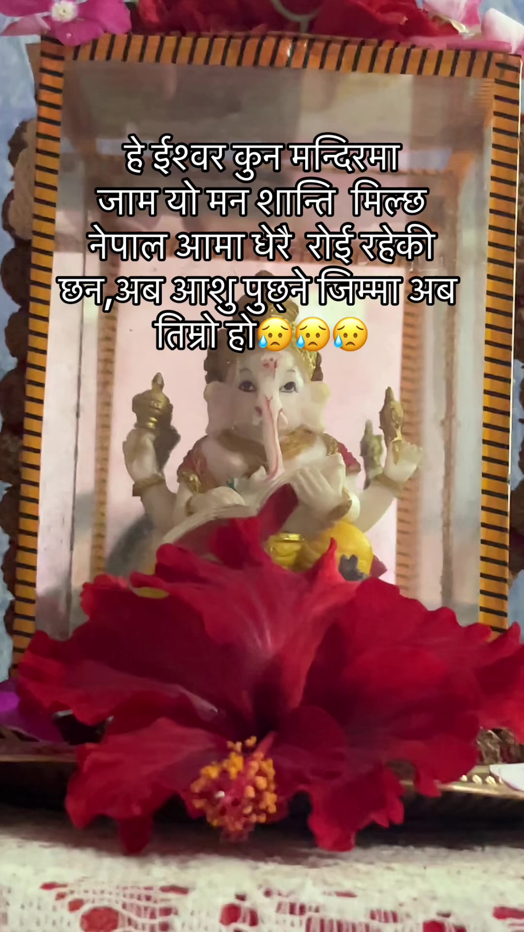 @Yashoda kharel
