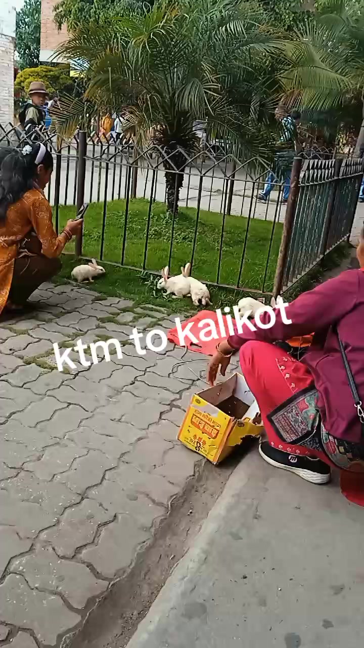 @ram bdr