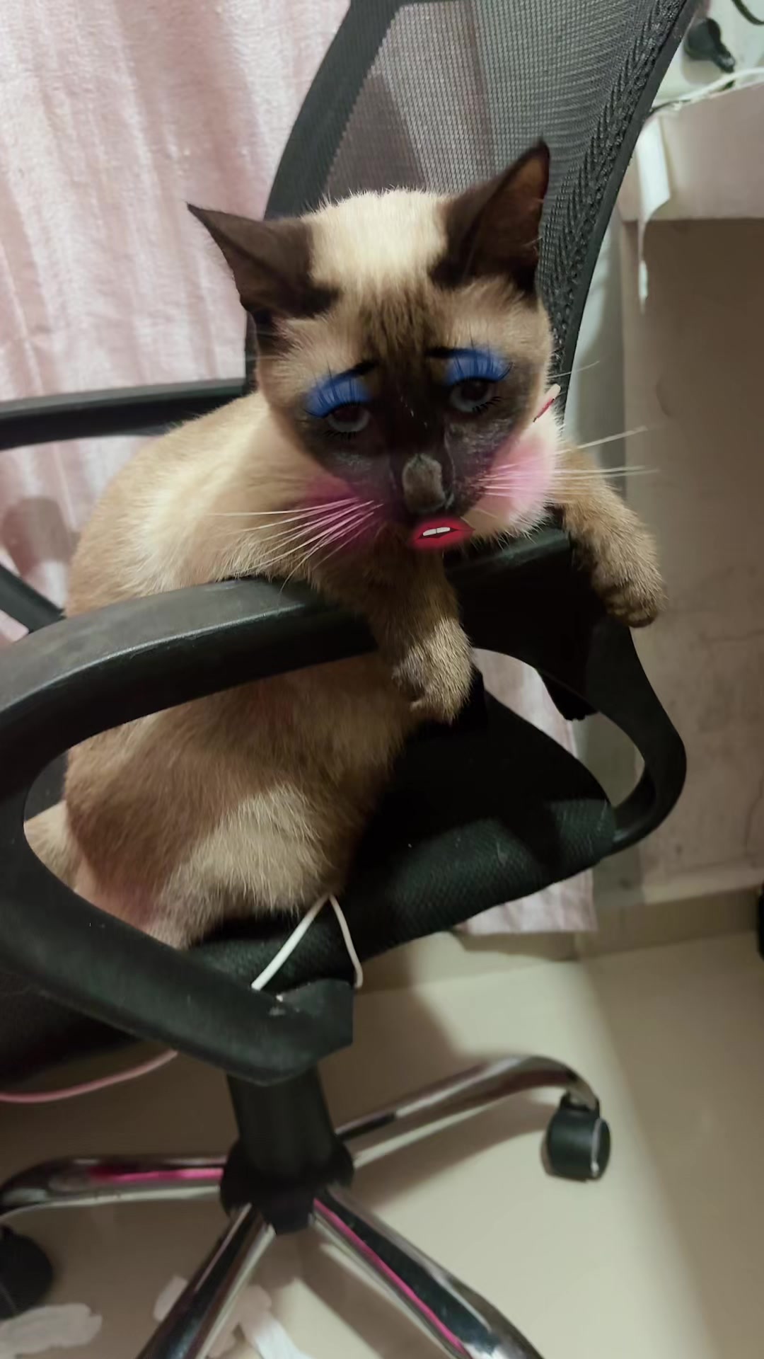 @Michicats