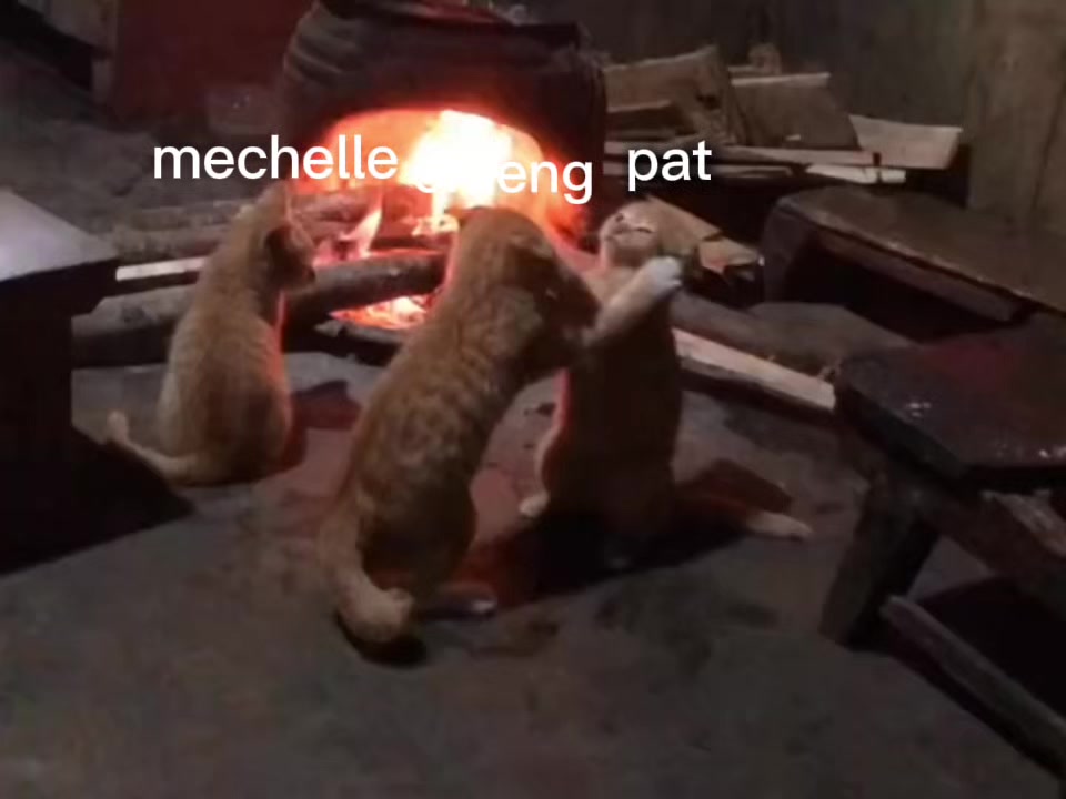 @โ. ๐หเฟ PAT ๐๐หโ