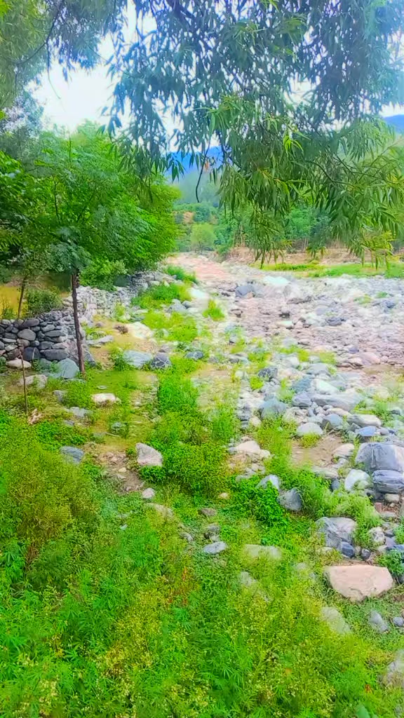 @salman Khan804🇵🇰