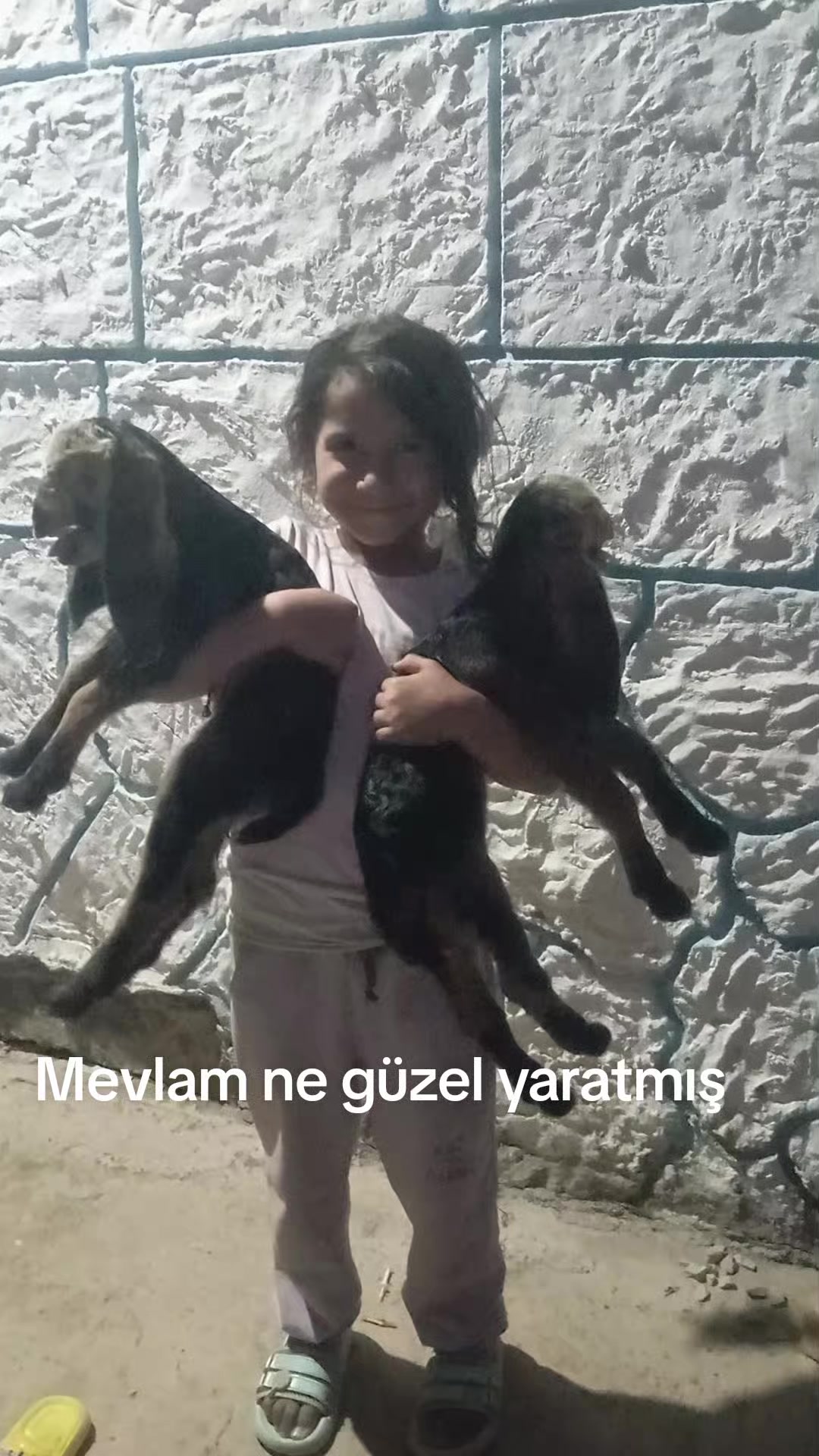 @Ramazan Korkmaz