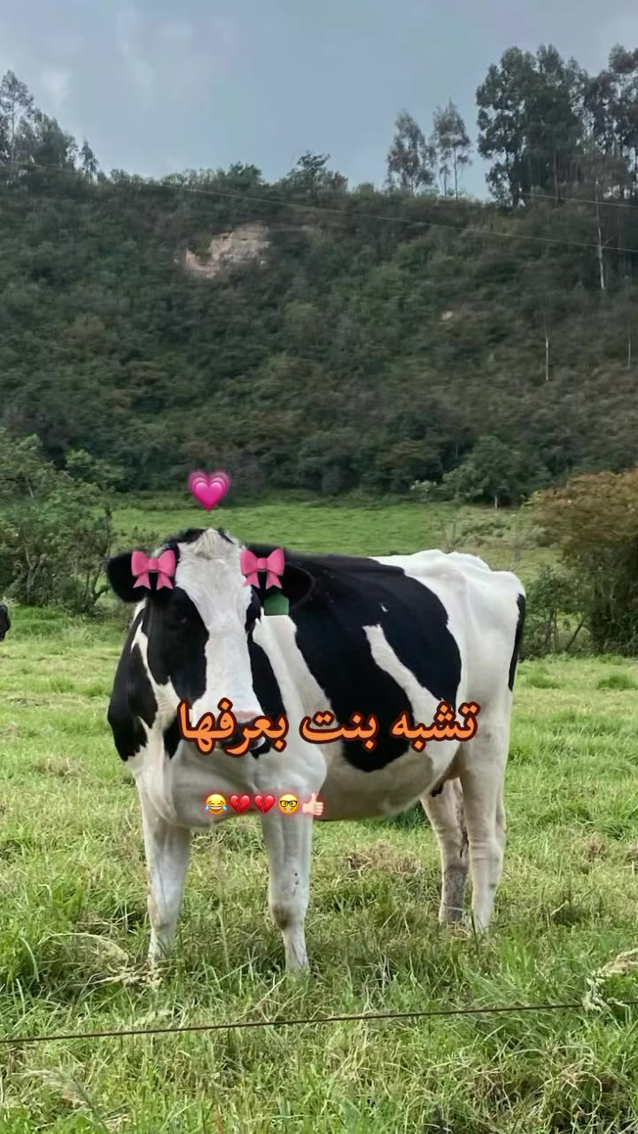 @طٰفِݪهِهِہۦ ݛݛااڪَﺰِهِهِہ¹⁶.