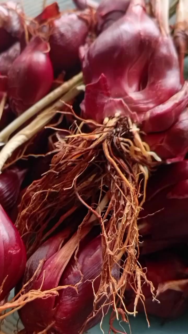 @ANUNIQUE