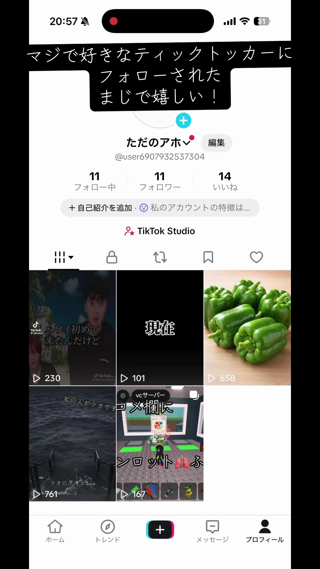 @ただのアホ