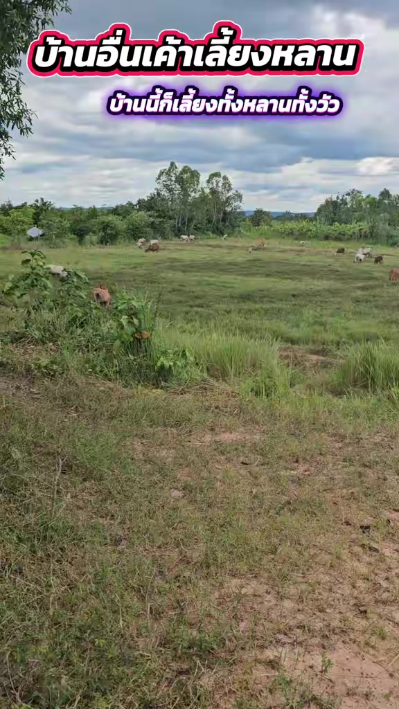 @นัดดาชอป