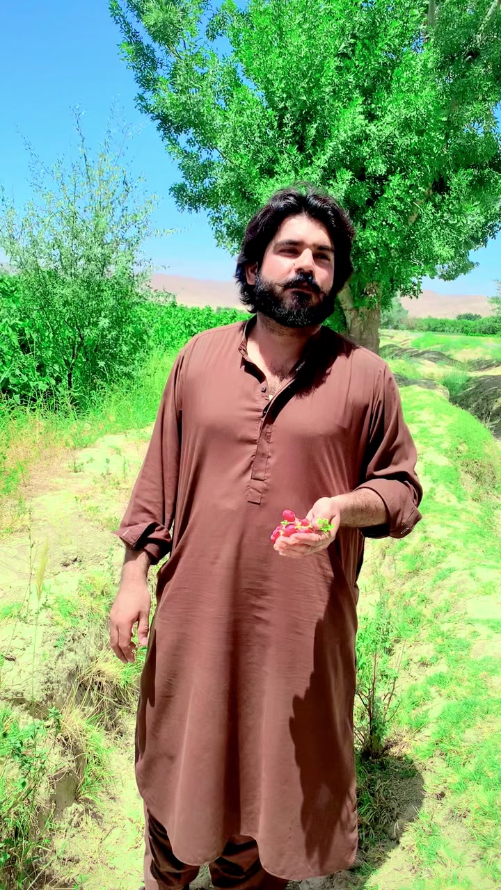 @Sarfaraz Raisani
