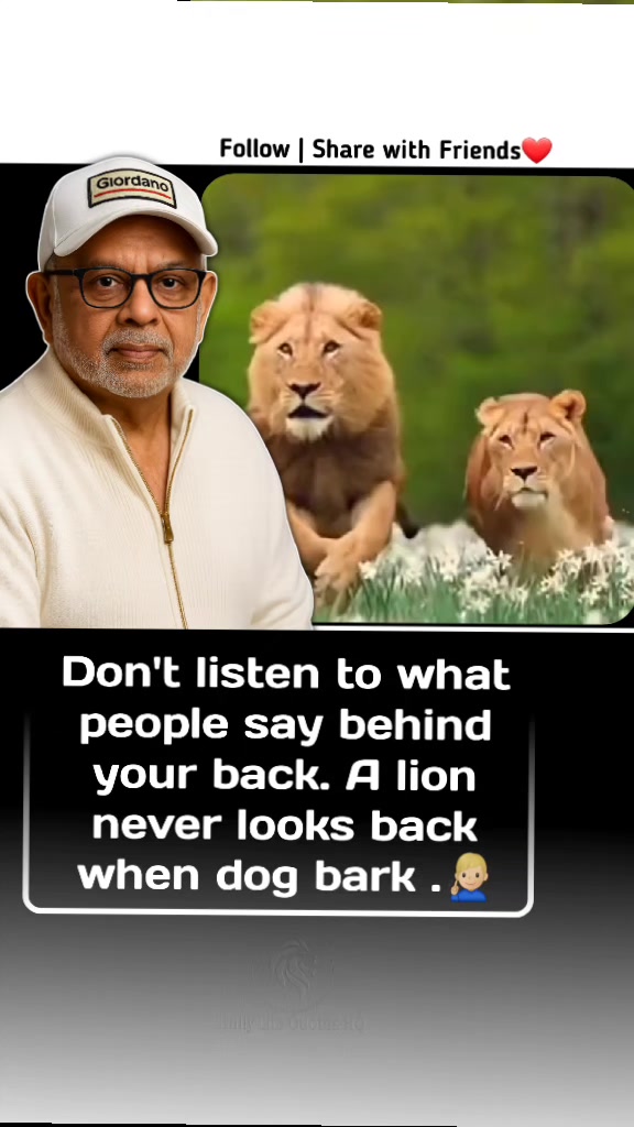 @Daily Life Quotes HQ®