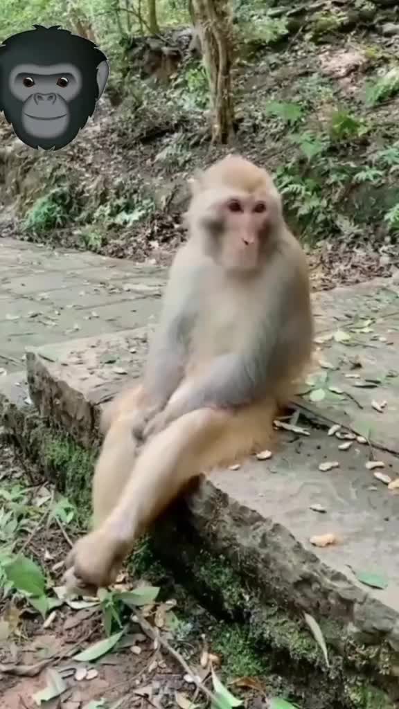@Rani Rani