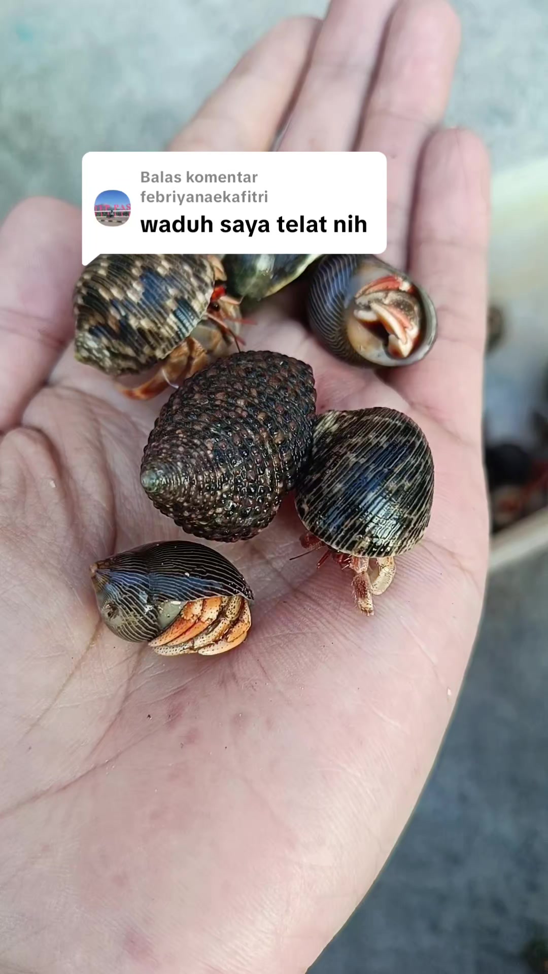@Kudojiraiya