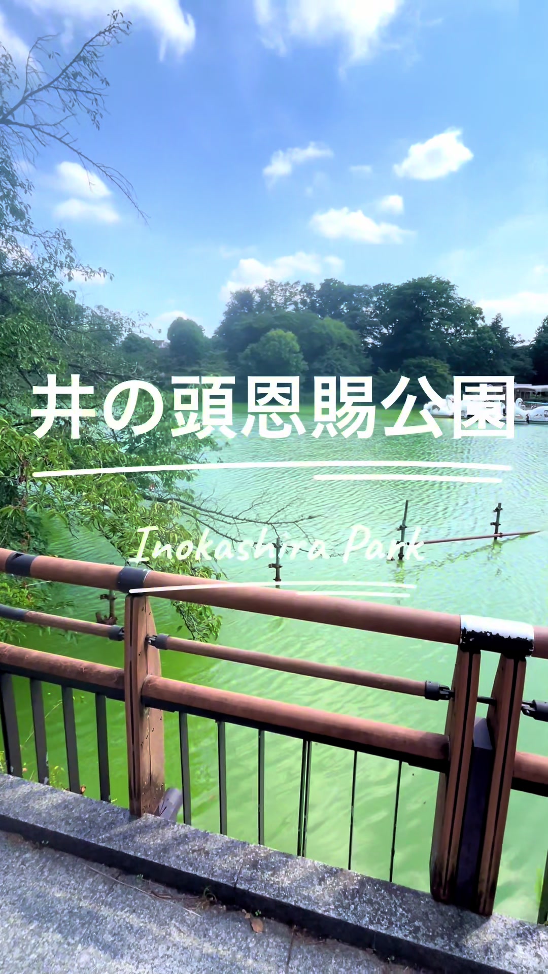 @h0shino_michishirube