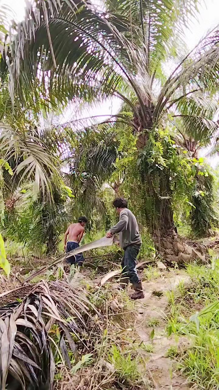 @rafkha461