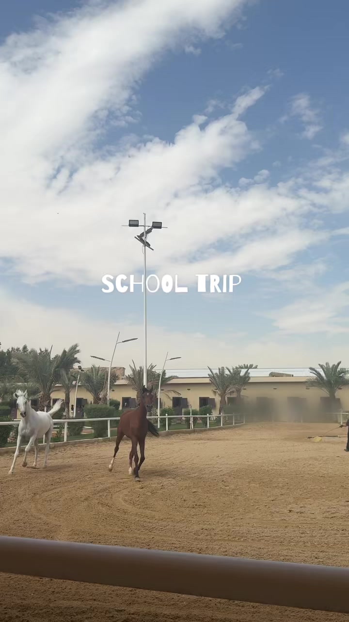 @_jr2026