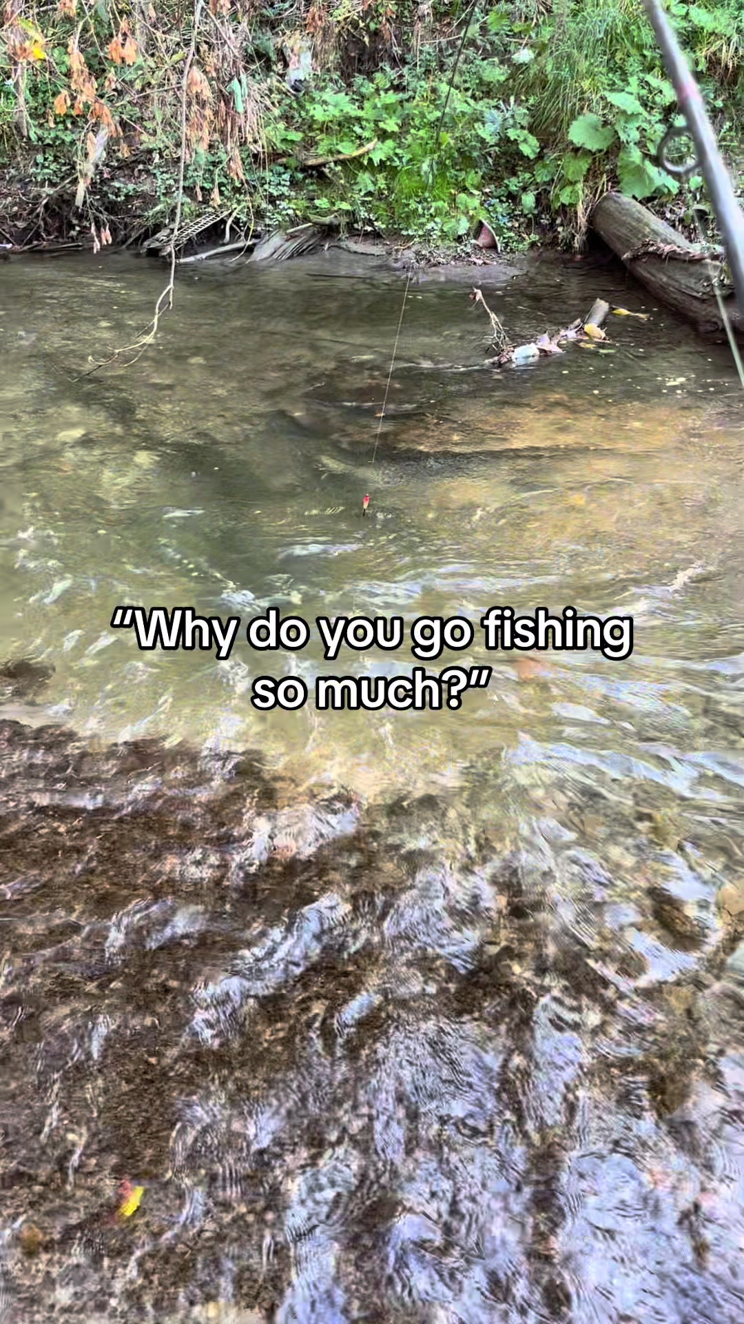 @yzxezz 🎣