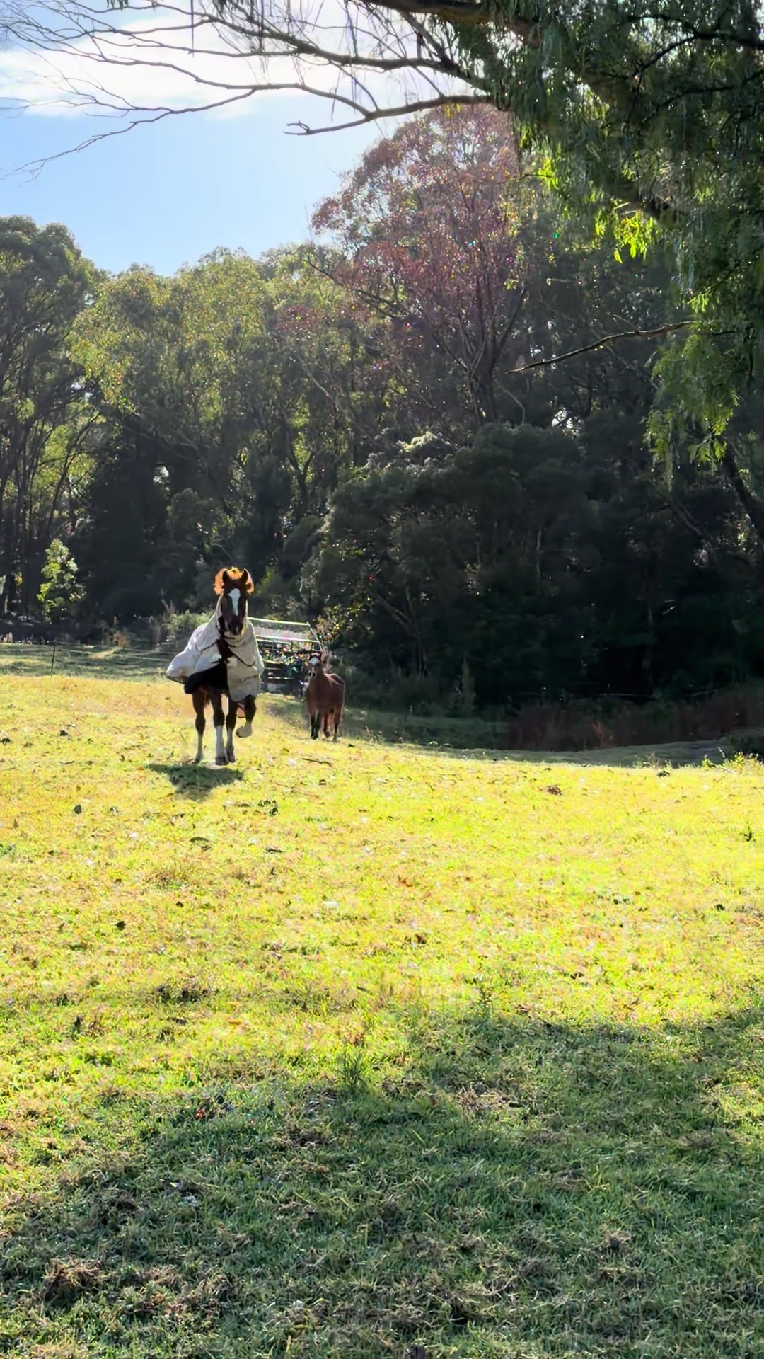 @EPEC - Horse riding centre
