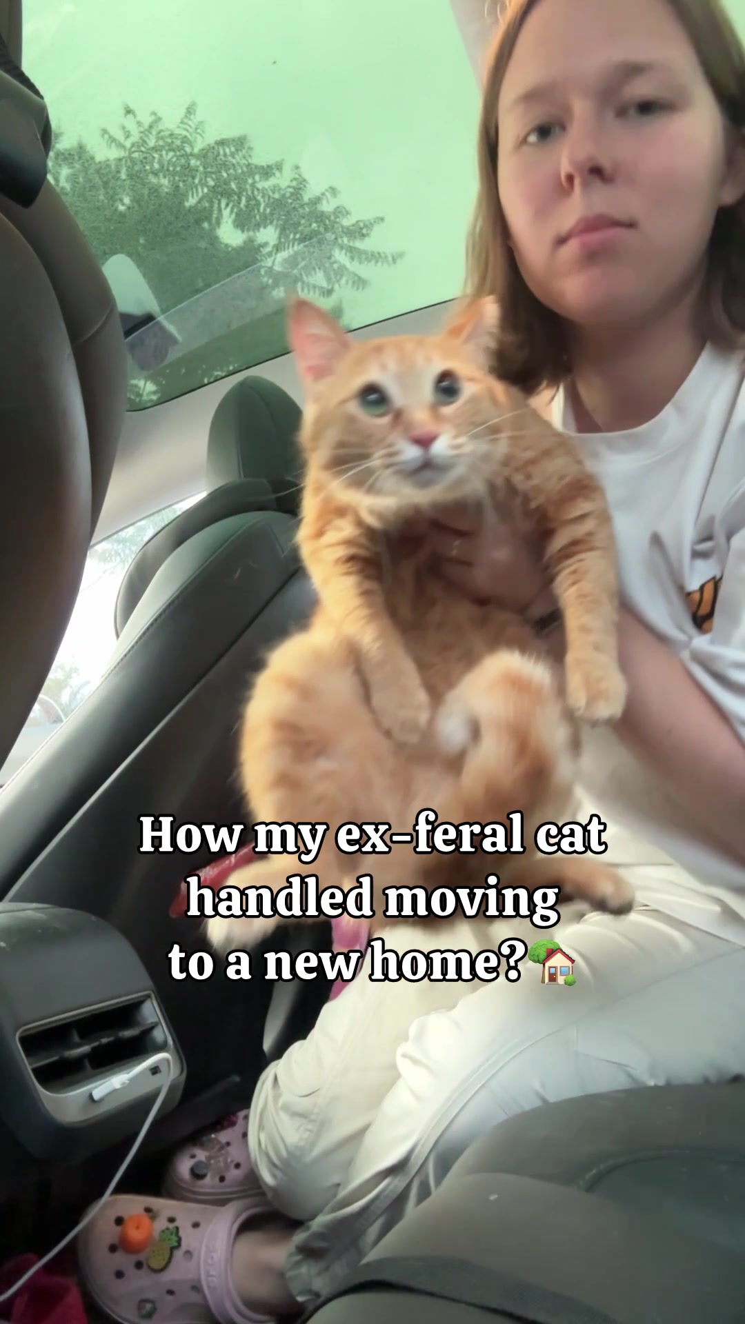 @MyStrayCheese