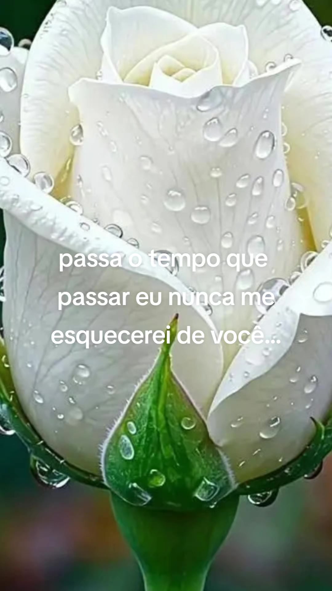 @Alicio amor infinito..