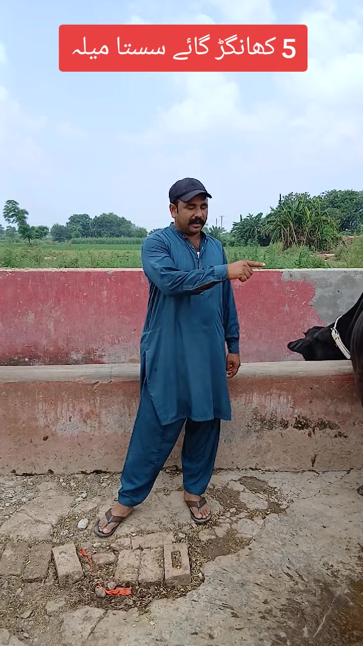 @Farming and Business Ideas