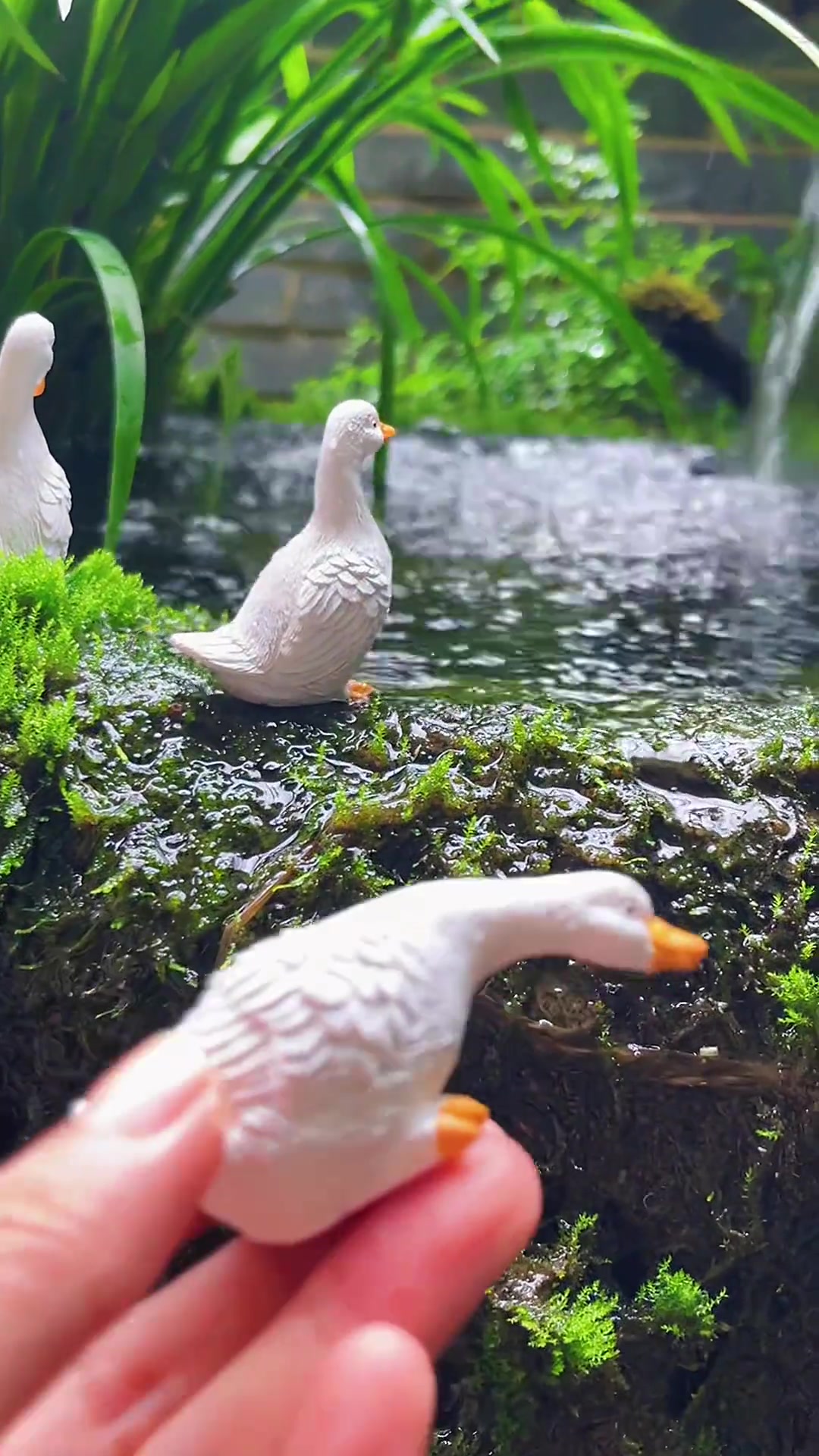 @Tiểu Cảnh Tại Gia