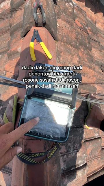@Alfarisi