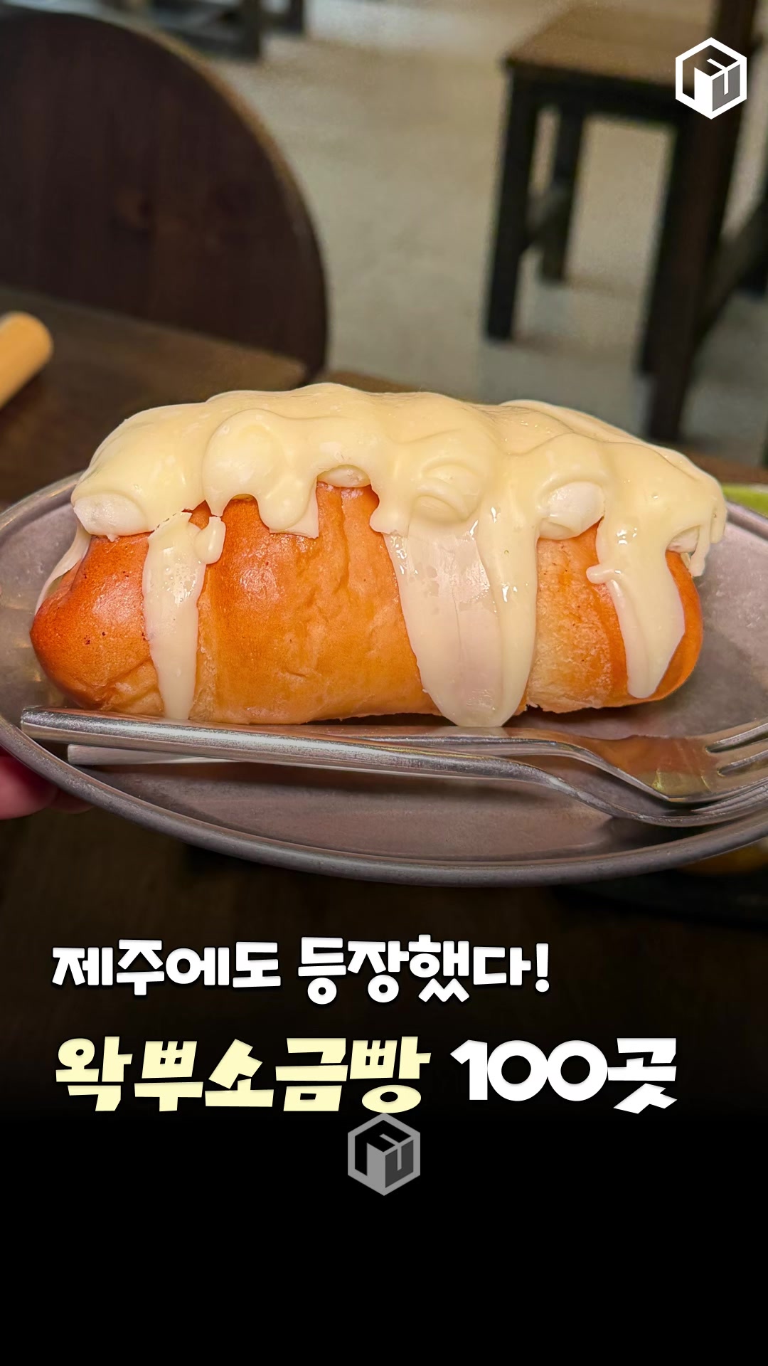 @제주톡톡