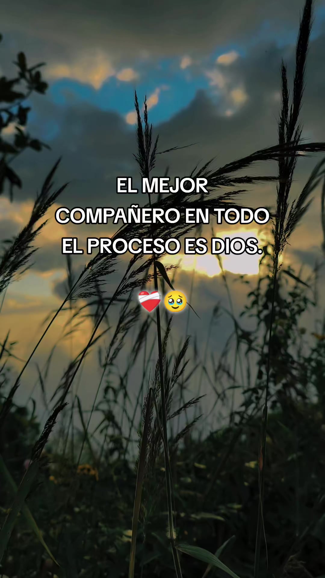 @Any✨️