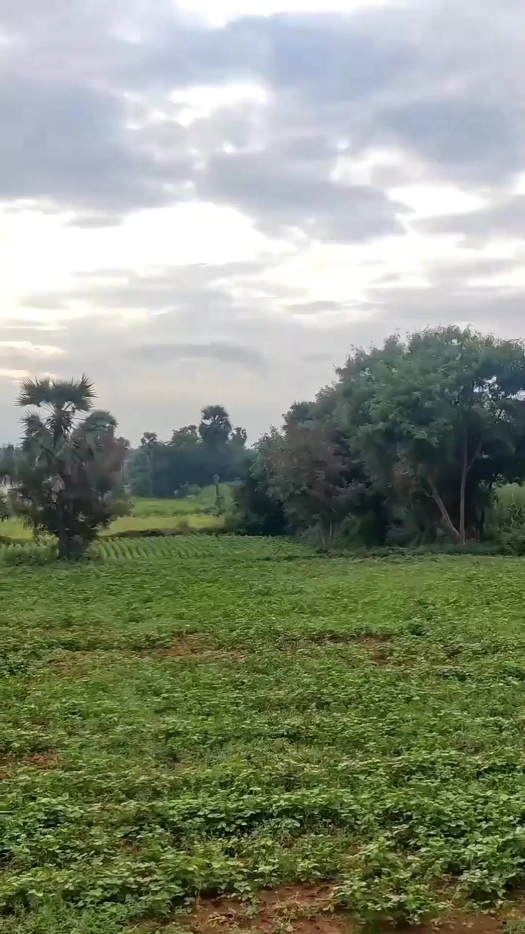 @𝐩𝐫𝐢𝐲𝐚𝐧𝐤𝐡𝐚