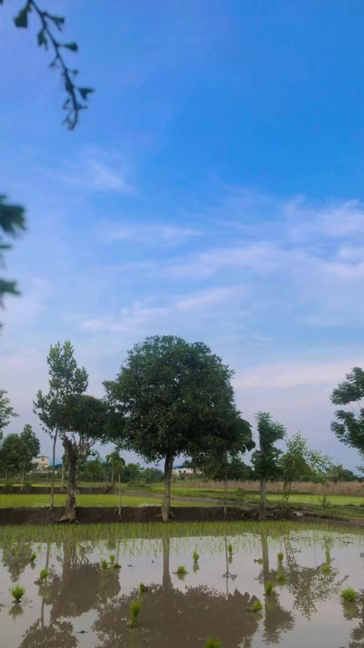 @Jamuna spk 470๐๐