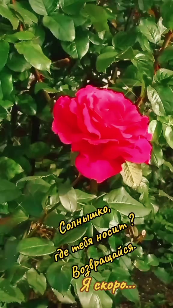 @Марина 🌺🍃