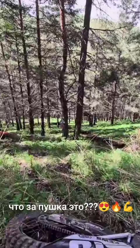 @Рамиль Забиров